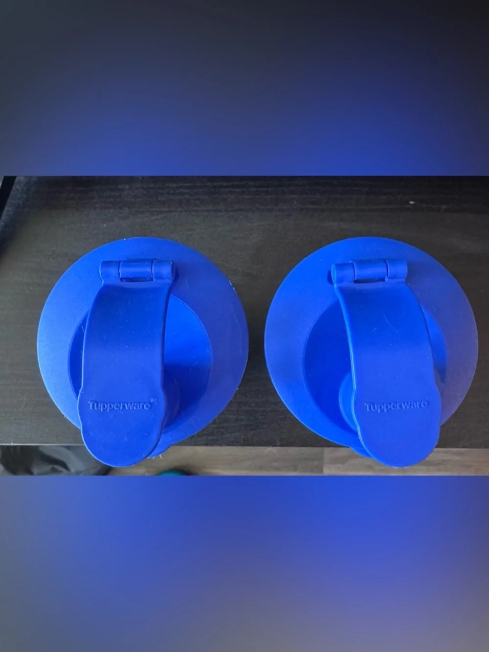 Vintage Disney Donald Duck & Goofy Plastic Tumblers with Blue Lids (Set of 2)